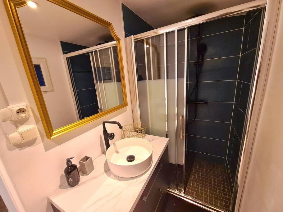 Appartement Cosy Et Calme En Hyper-Centre Tarbes Eksteriør billede